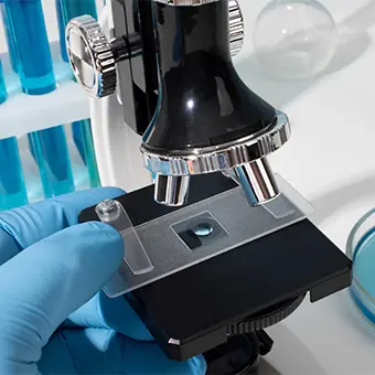 dna sequencing