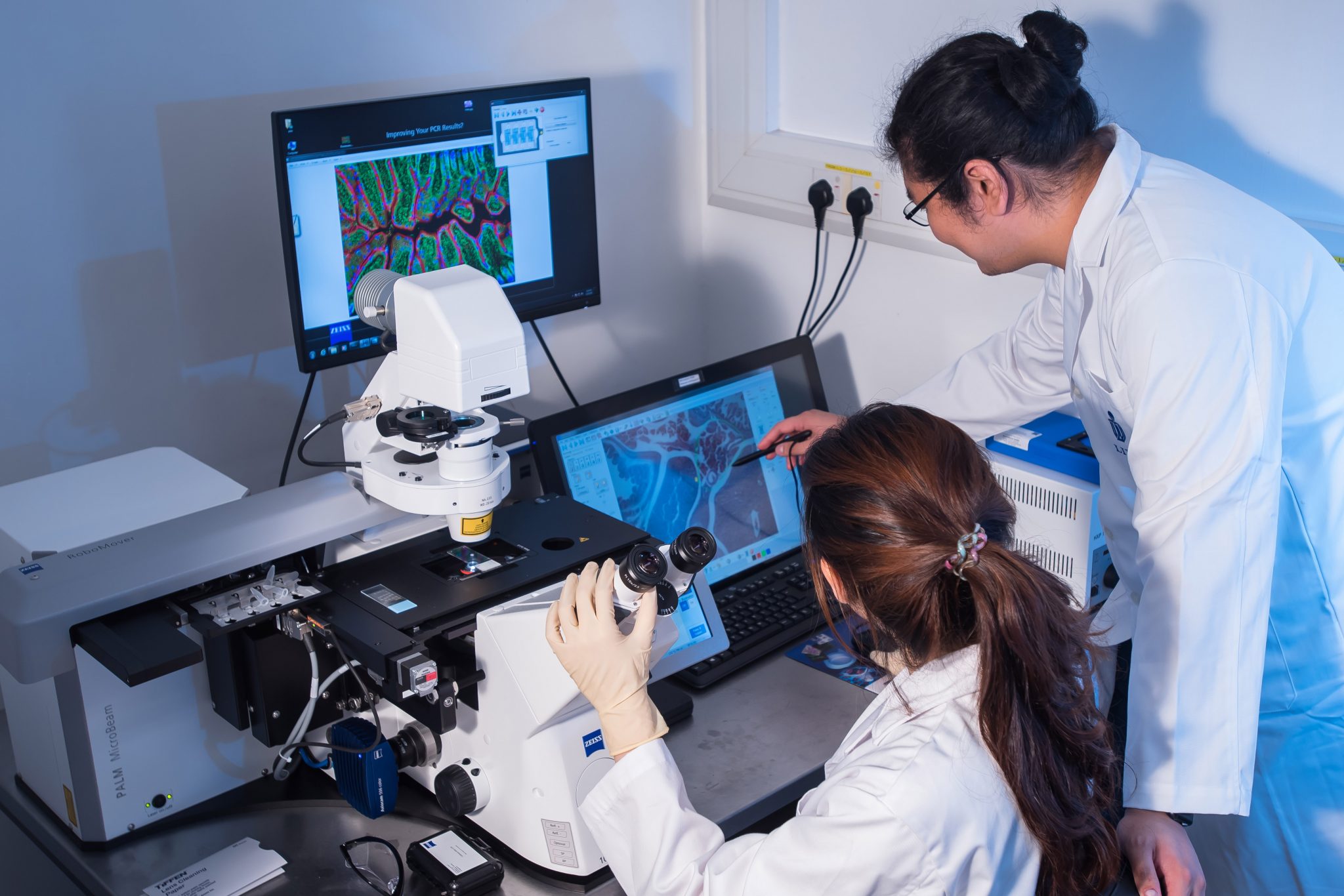 structural biology