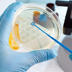 microbiology training in chennai