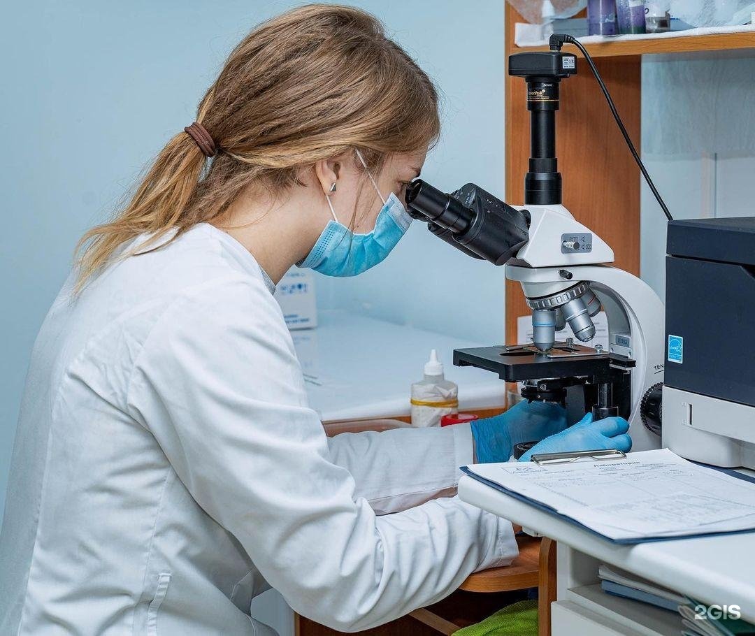 bioinformatics training program