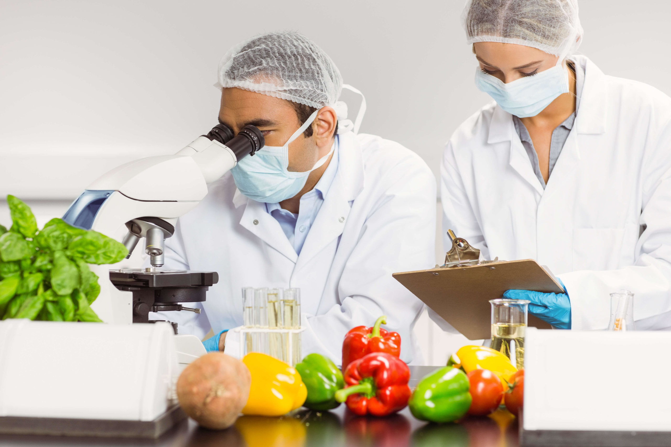 food safety training program