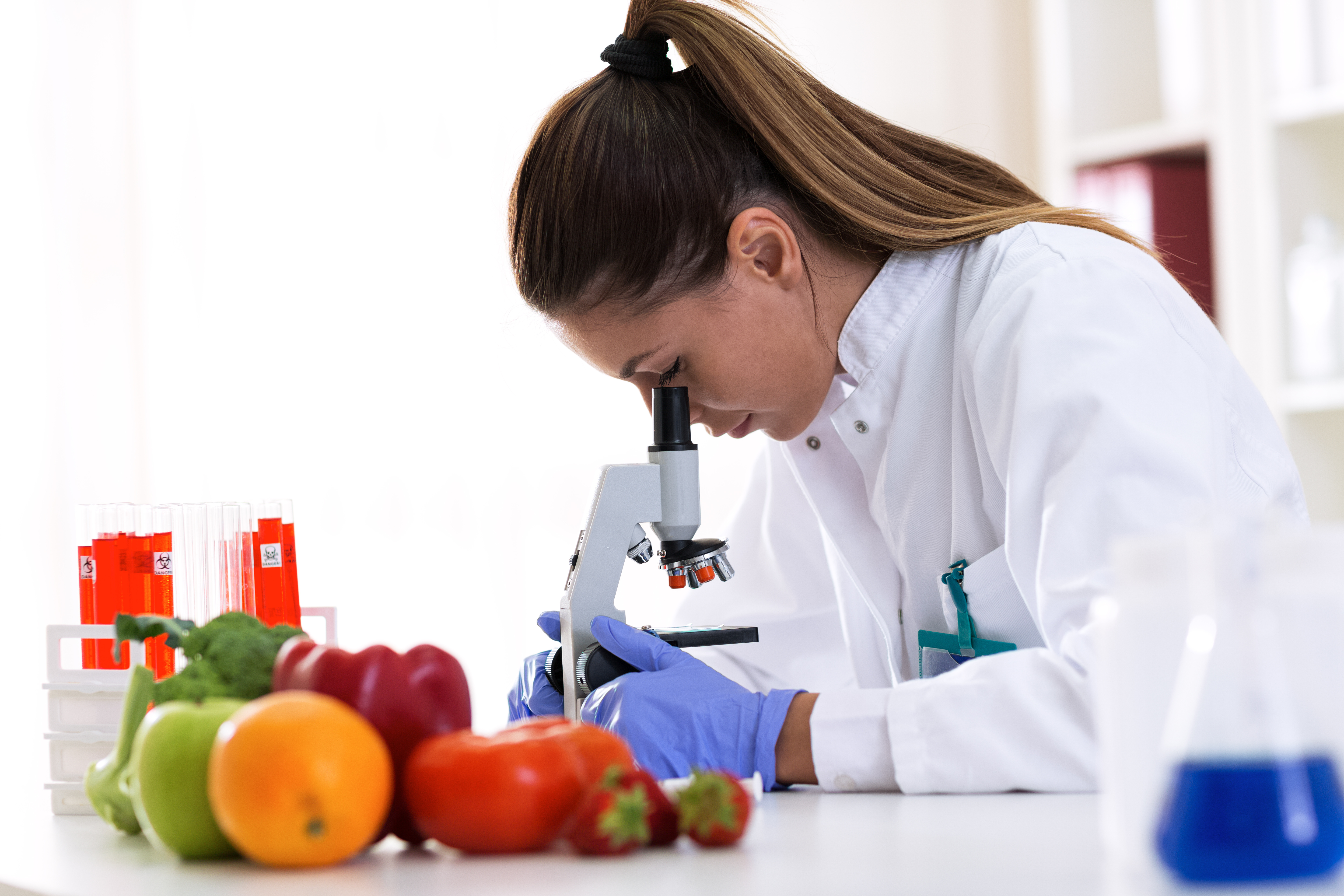haccp certification
