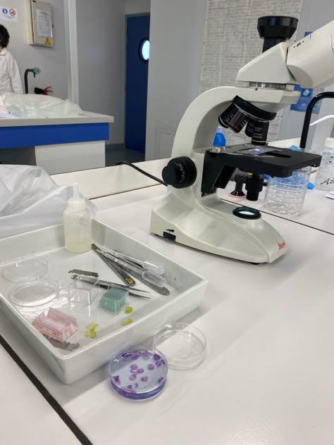 Bio-scope in microbiology lab