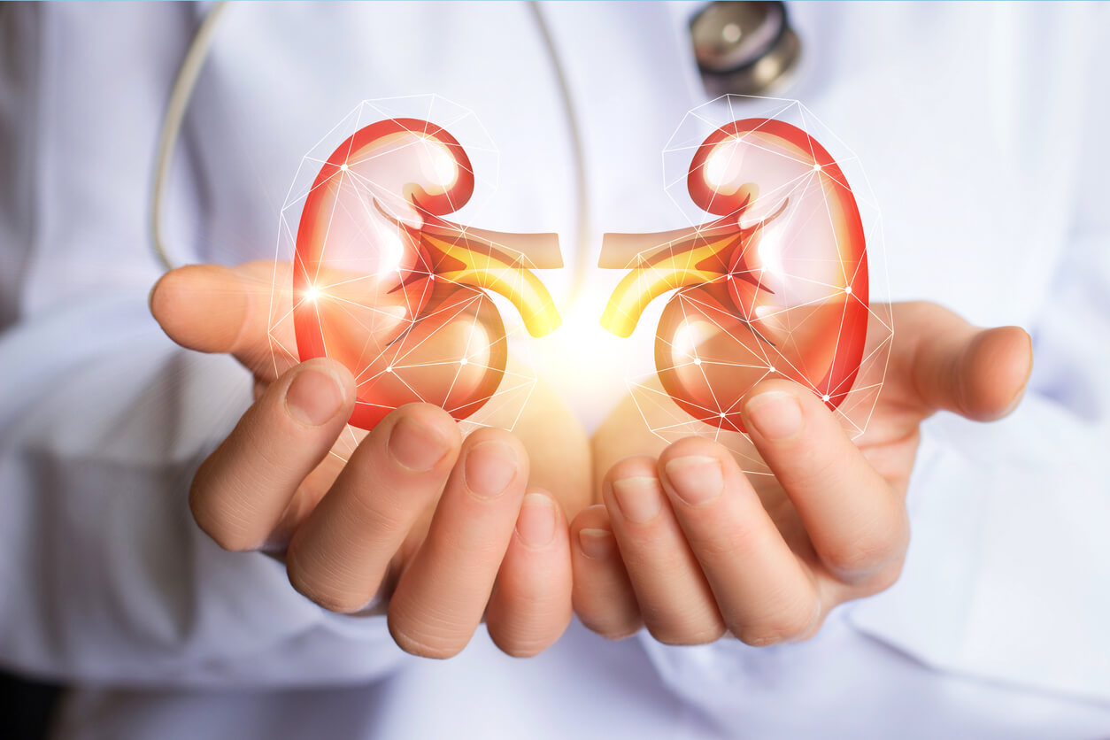 Kidney Test (Basic)